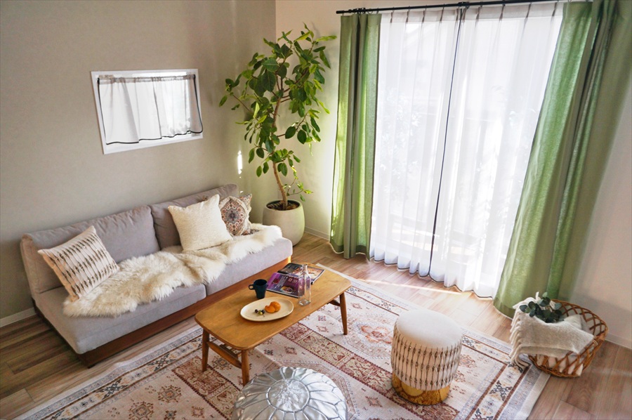 バイアスレース画像