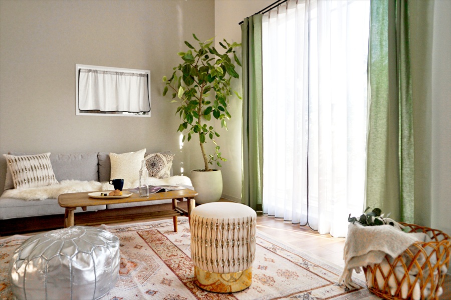 バイアスレース画像