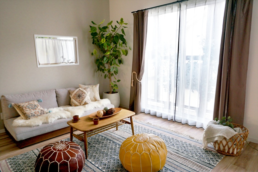 バイアスレース画像