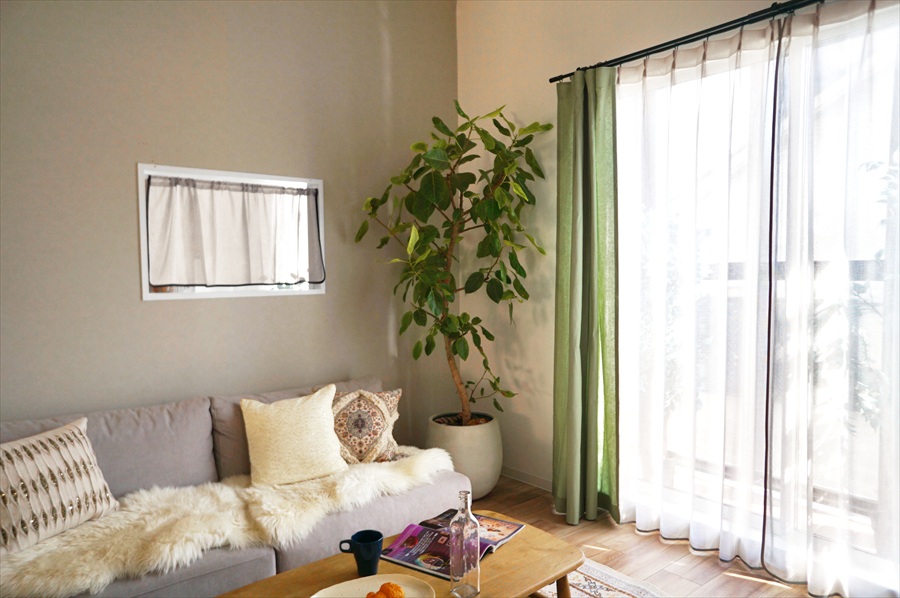 バイアスレース画像