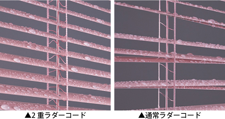 ２重ラダー構造