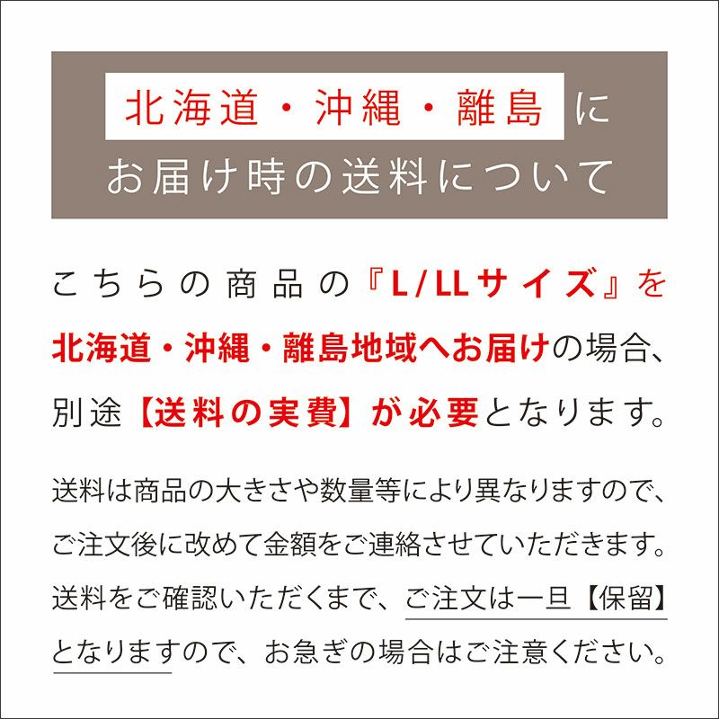 北海道・沖縄・離島は実費送料が必要です