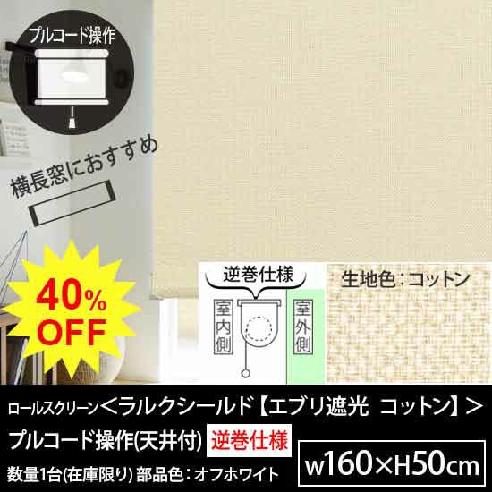 ☆40％OFF OUTLET☆日本製ロールスクリーン＜ラルクシールド(エブリ